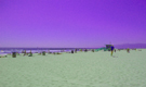 Venice Beach Island&trade;